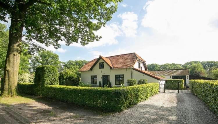 Logement In De Peel Griendtsveen Esterno foto